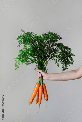 Raw carrot in hand photo