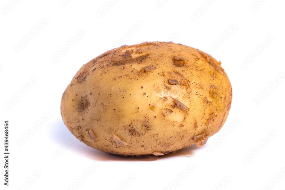 Fresh dirty potato isolated on white background, vegetable Fresh dirty potato isolated on white background, vegetable