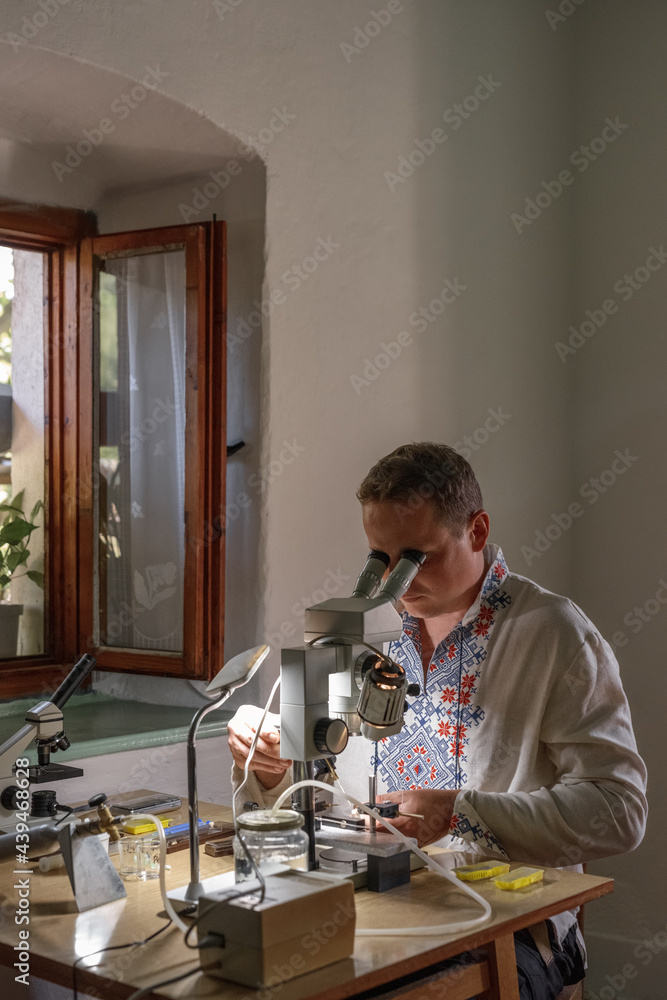 Male beekeeper adjusting microscope for bee insemination in home lab Male beekeeper adjusting microscope for bee insemination in home lab