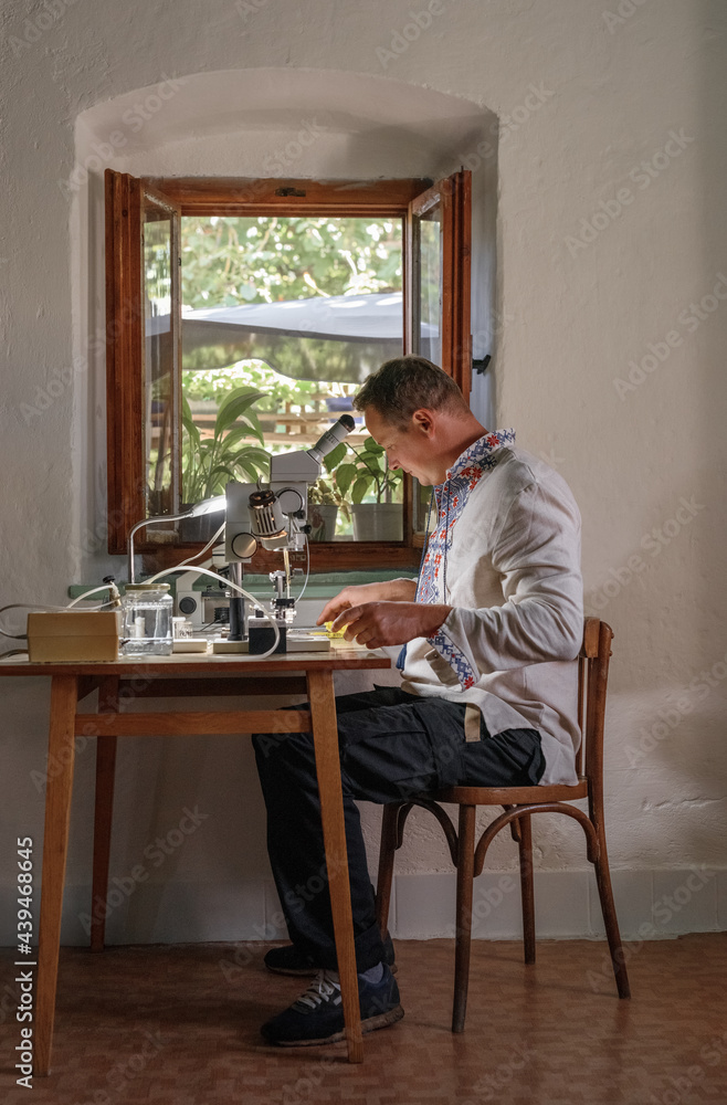 Male beekeeper preparing to inseminate queen bee at home Male beekeeper preparing to inseminate queen bee at home