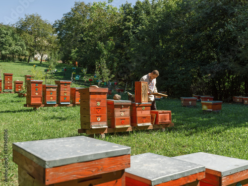 Beekeeper examining honeycomb in professional apiary photo