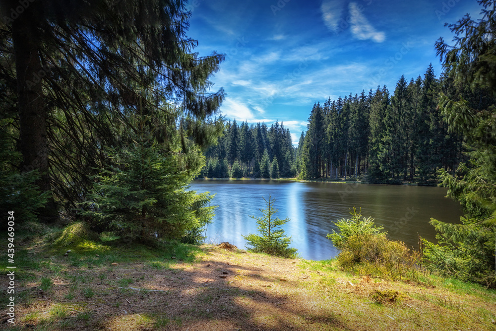 Bärenbrucher Teich im Harz StockFoto Adobe Stock