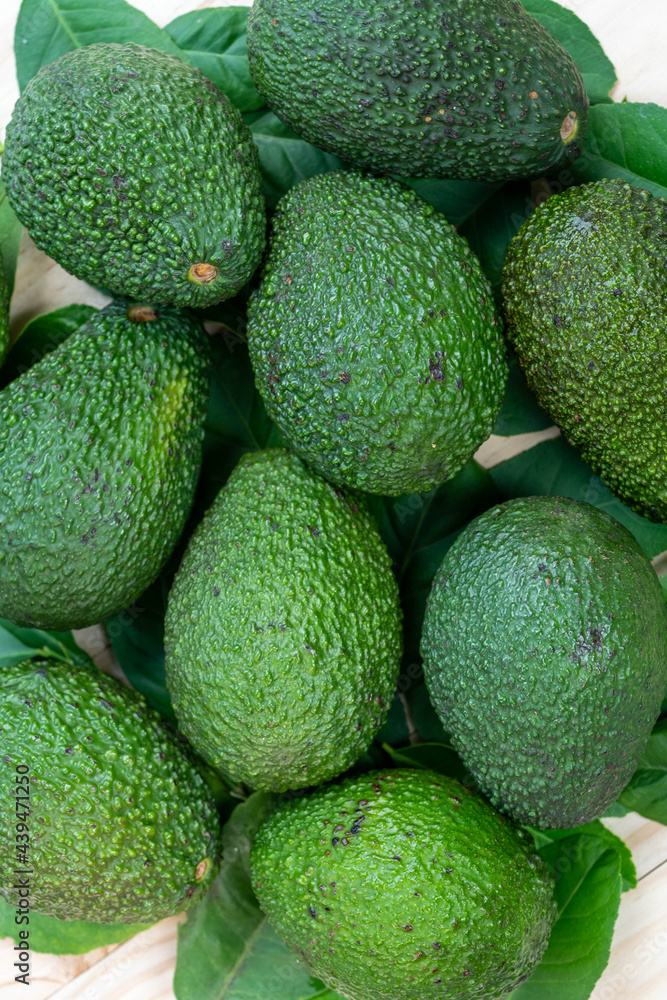 Avocado fruit with leaves on wooden background. Avocado fruit with leaves on wooden background.