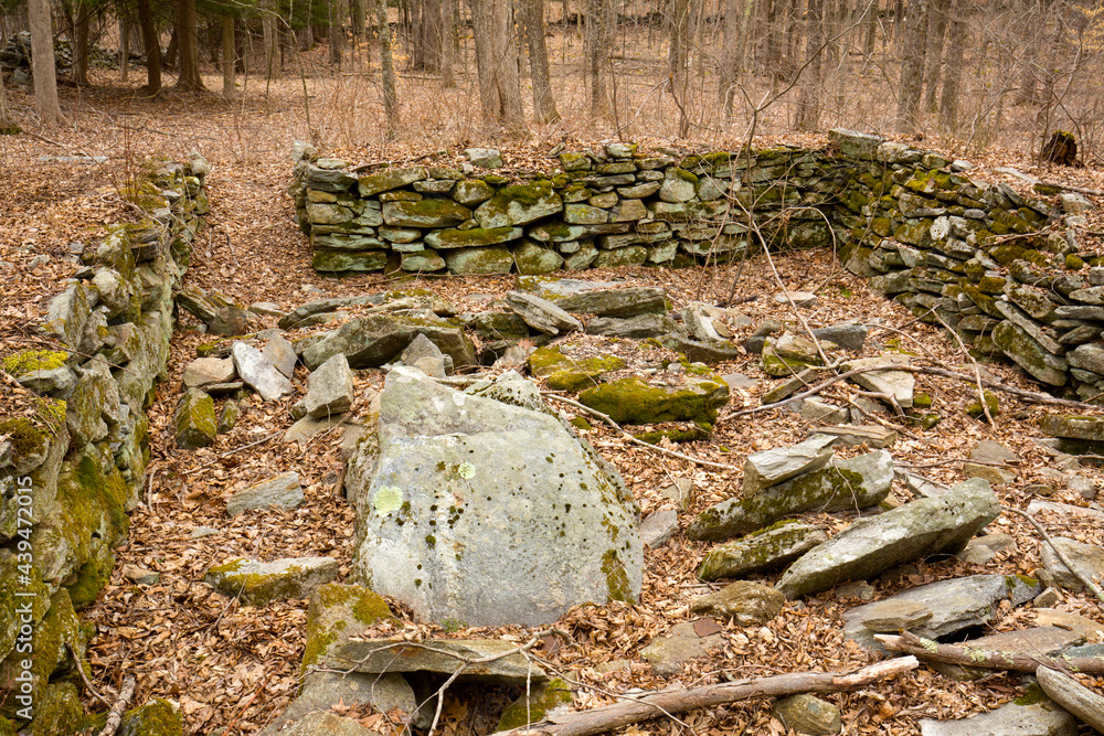 Historic stone foundation at Whitaker Woods in Somers, Connecticut. Historic stone foundation at Whitaker Woods in Somers, Connecticut.