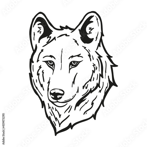 Outline Vector illustration of a Wolf Head
