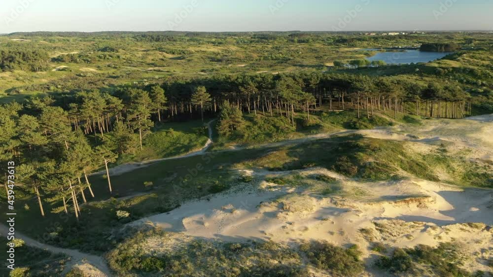 Flying low over trees with sunset in National park Kennemerland Flying low over trees with sunset in National park Kennemerland