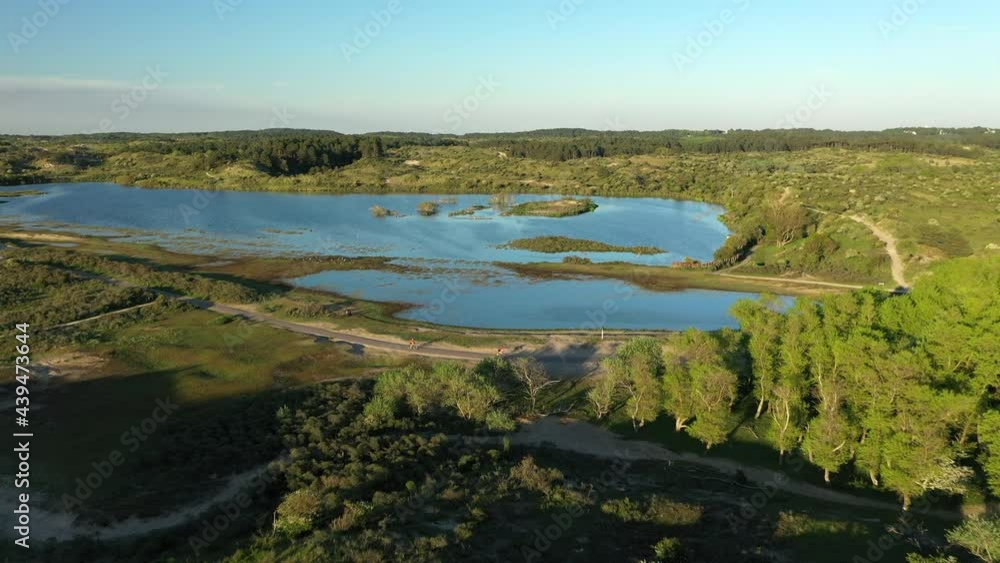 Aerial showing vogelmeer with lots of birds in The Netherlands Aerial showing vogelmeer with lots of birds in The Netherlands