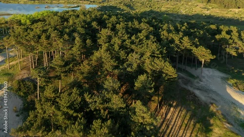 Drone footage of National Park Kennemerland and vogelmeer in The Netherlands with sunset photo