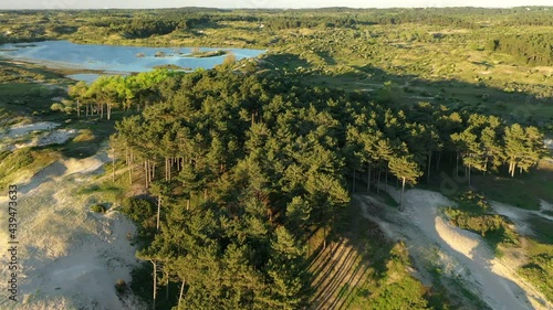 National park Zuid Kennemerland with a view of vogelmeer and a beatiful sunset in the Netherlands photo