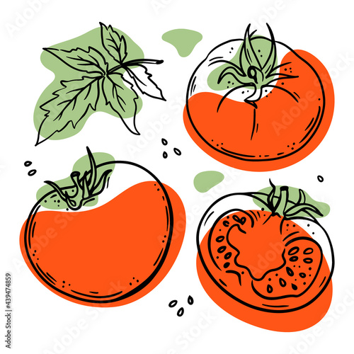 TOMATO Delicious Vegetable Whole And Slices With Leaves For Design Of Organic Natural Products Shop And Dessert Drinks In Sketch Style Vector Illustration Set