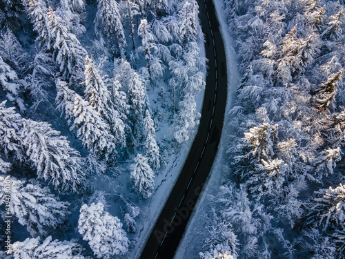 empty road in winter forest seen from above photo
