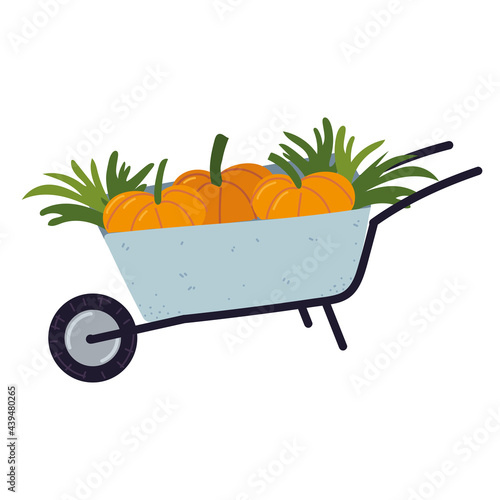 wheelbarrow with pumpkins