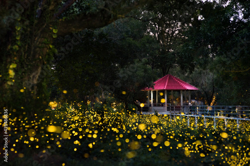 Long exposure shot of Fireflies in the park in night time background is red roof hut and tourists are taking pictures of the atmosphere. This picture took at night time contain noise / gains.
