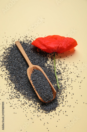 Red poppy flower with poppy...