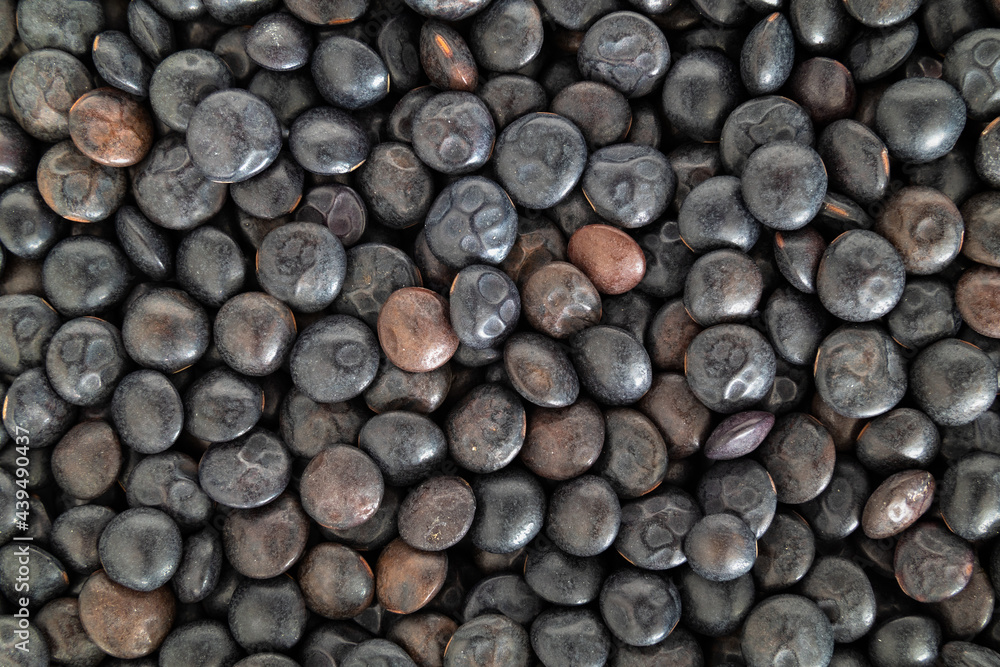Beluga lentils, close up. Top view of many tiny black organic lentils. Legume with earthy flavor, firm texture and high in protein. Used as side dish, in soups and salads. Selective focus. Beluga lentils, close up. Top view of many tiny black organic lentils. Legume with earthy flavor, firm texture and high in protein. Used as side dish, in soups and salads. Selective focus.