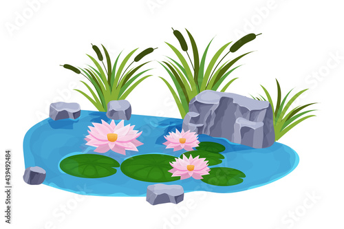Lake with calm water, lily flowers, bulrush and stones in cartoon style isolated on white background. Outdoor natural pond. . Vector illustration