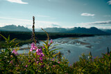 Flowers of Alaska