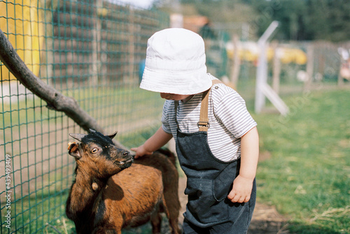 young boy at the petting zoo