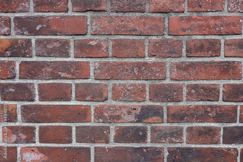 Obraz premium レンガの壁