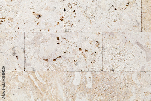 Stone wall made of shelly limestone, texture