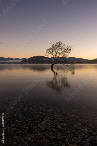 That Wanaka Tree, Sunset over the lake, New Zealand