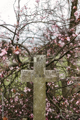 Shabby cross on grave near blooming branches
 photo