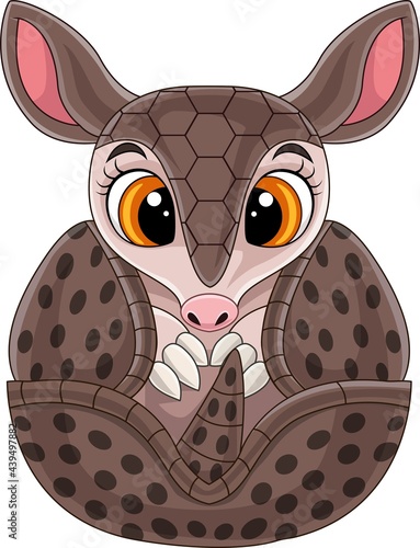 Cartoon cute baby armadillo rolled up