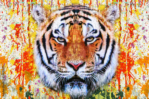 Tiger head with creative ab...