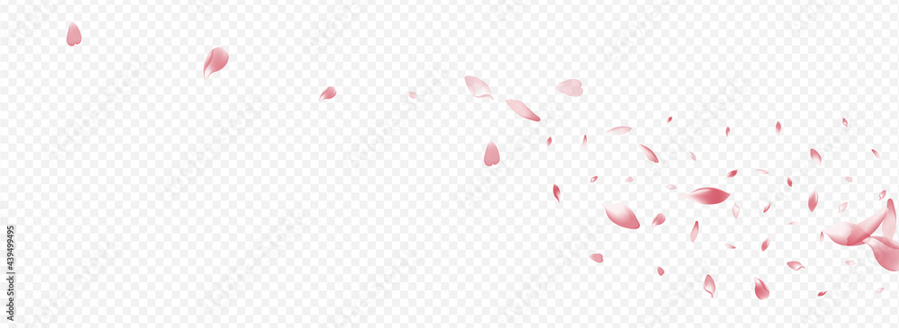 Red Leaf Vector Panoramic Transparent Background. Red Leaf Vector Panoramic Transparent Background.