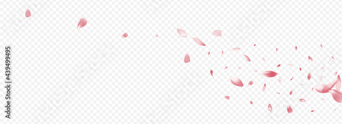 Red Leaf Vector Panoramic Transparent Background.