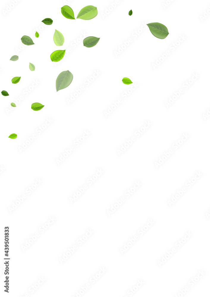 Olive Foliage Flying Vector Banner. Blur Leaf Olive Foliage Flying Vector Banner. Blur Leaf