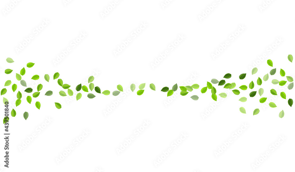 Olive Leaf Fresh Vector Backdrop. Flying Foliage