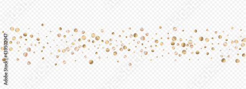 Bronze Confetti Shiny Panoramic Transparent