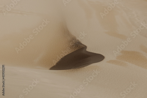 Sand dune shadow photo