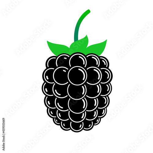 Shiny blackberry. Flat vector isolated on white.
