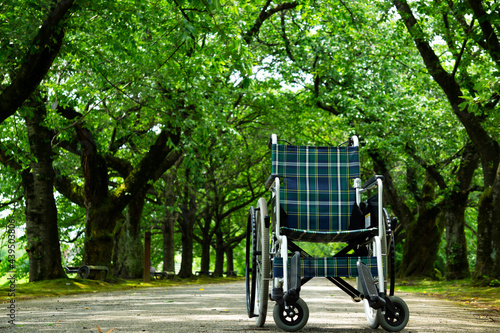 Wheelchair in a tree-lined road. 並木道にある車いす © Kana Design Image