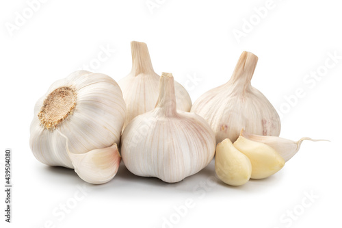 bulb garlic isolated on a white background photo