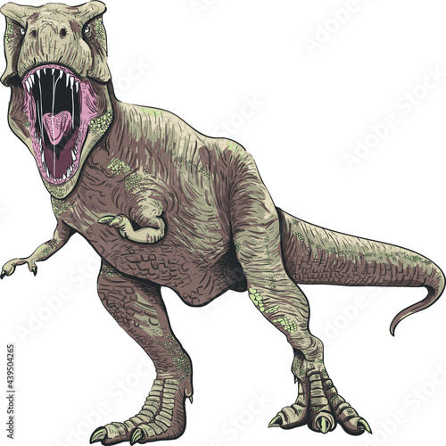 tyrannosaurus rex dinosaur vector