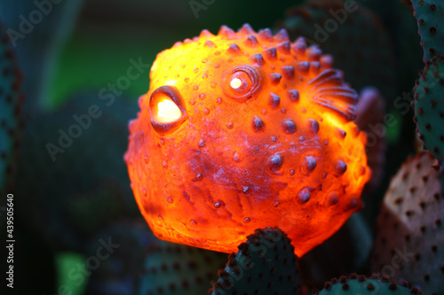 3d puffer fish in the night
