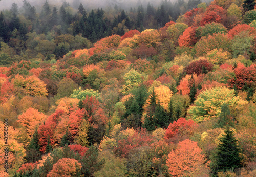 autumn scenic landscape colors Blue Ridge Mountains, North Carolina
