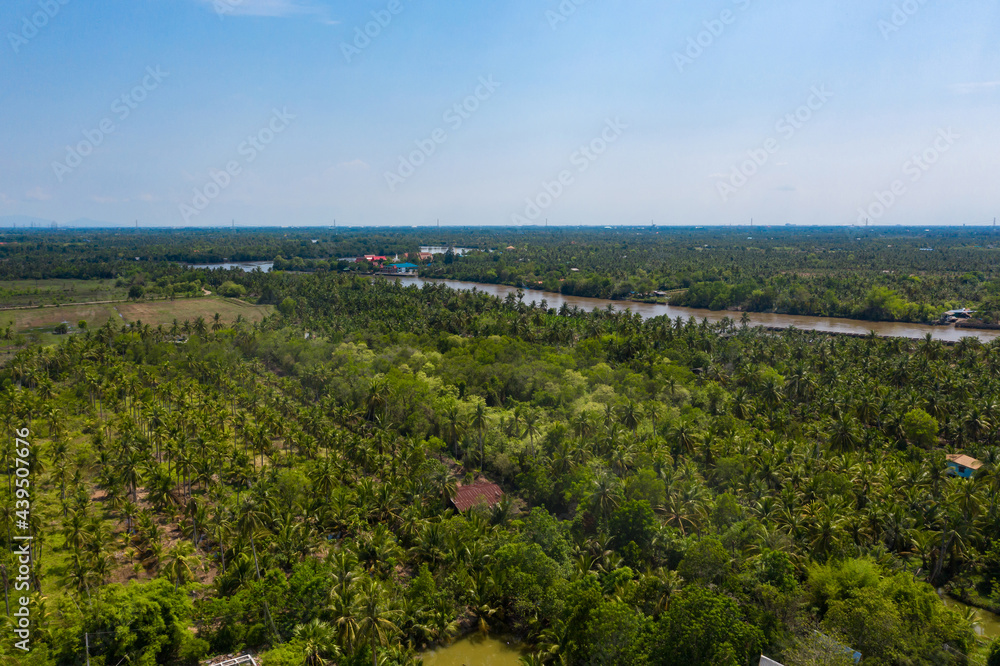 Fiield from drone view, shows the horizon skyline with forest and farm above of upcountry, Chachoengsao Province Thailand.