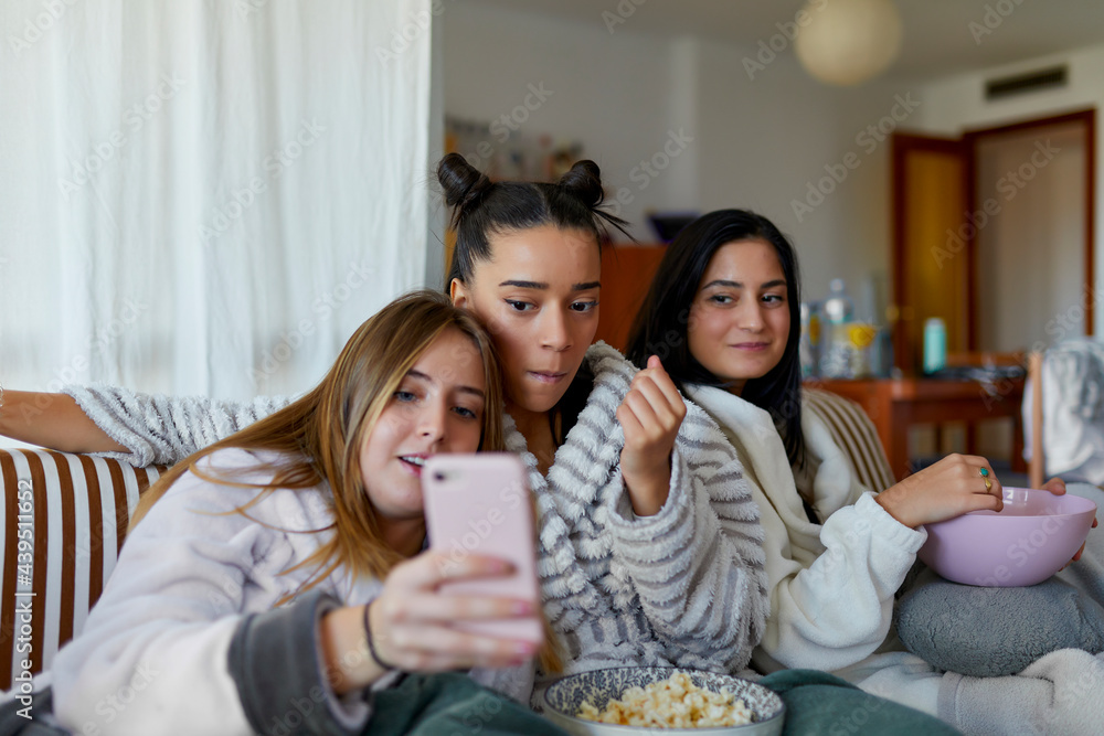 Afternoon with friends on the sofa Afternoon with friends on the sofa