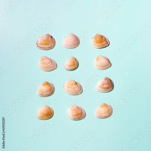 Summer concept with seashells on blue background. Top view, flat lay