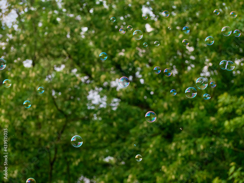 Soap bubbles on green nature background.