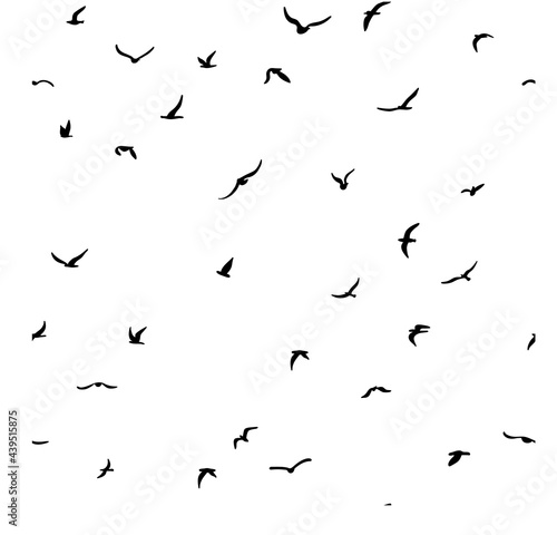 A flock of flying silhouette birds. Bird seamless pattern. © lulya