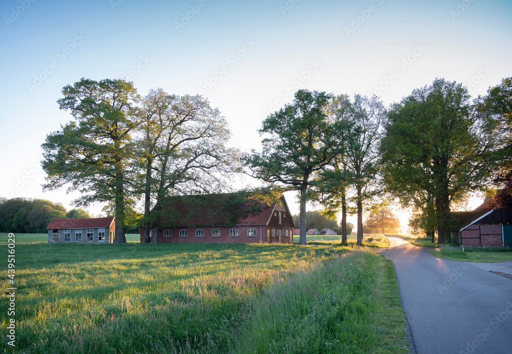 old barns and farm at sunset in rural area of twente near oldenzaal in holland