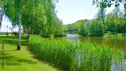 Walk in the lakeside park, Mezhyhirya, Ukraine photo