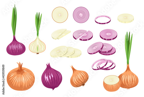 Set of Brown and Purple Onions  Vegetable  Natural Garden Plant  Veggies Culture. Healthy Food  Eco Farm Production