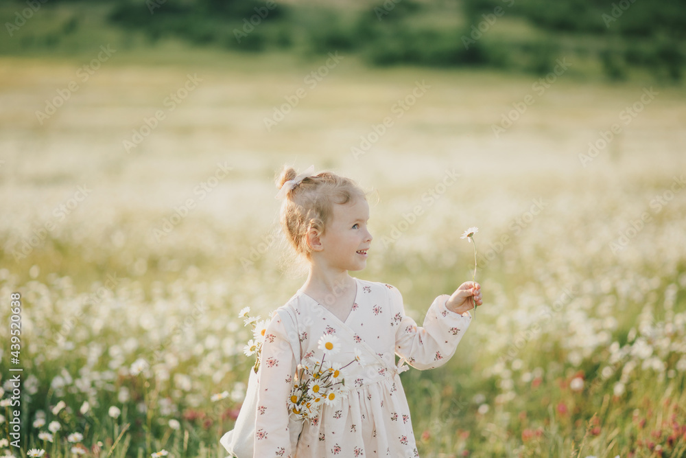 Litlle happy girl in a white dress with a linen bag full of chamomile flowers walking in a field. Litlle happy girl in a white dress with a linen bag full of chamomile flowers walking in a field.