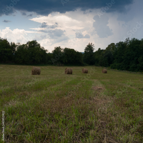 Rural landscape with hay stacks, field with roll bales near forest, domestic livestock fodder during wintertime, dark gloomy ominous storm clouds